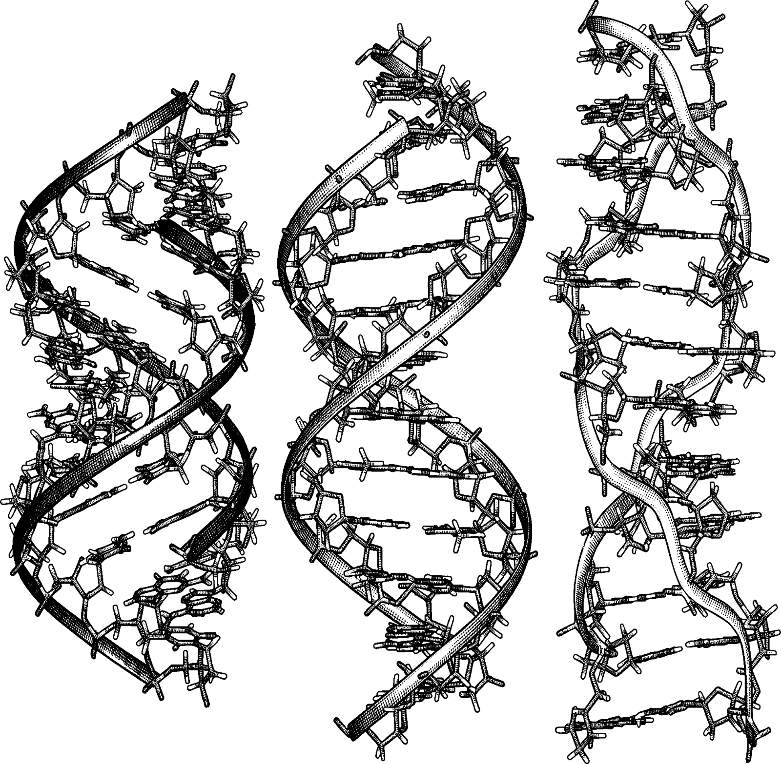 Emergent Mormon Perspectives on Kurzweilian Epochs of Evolution illustration