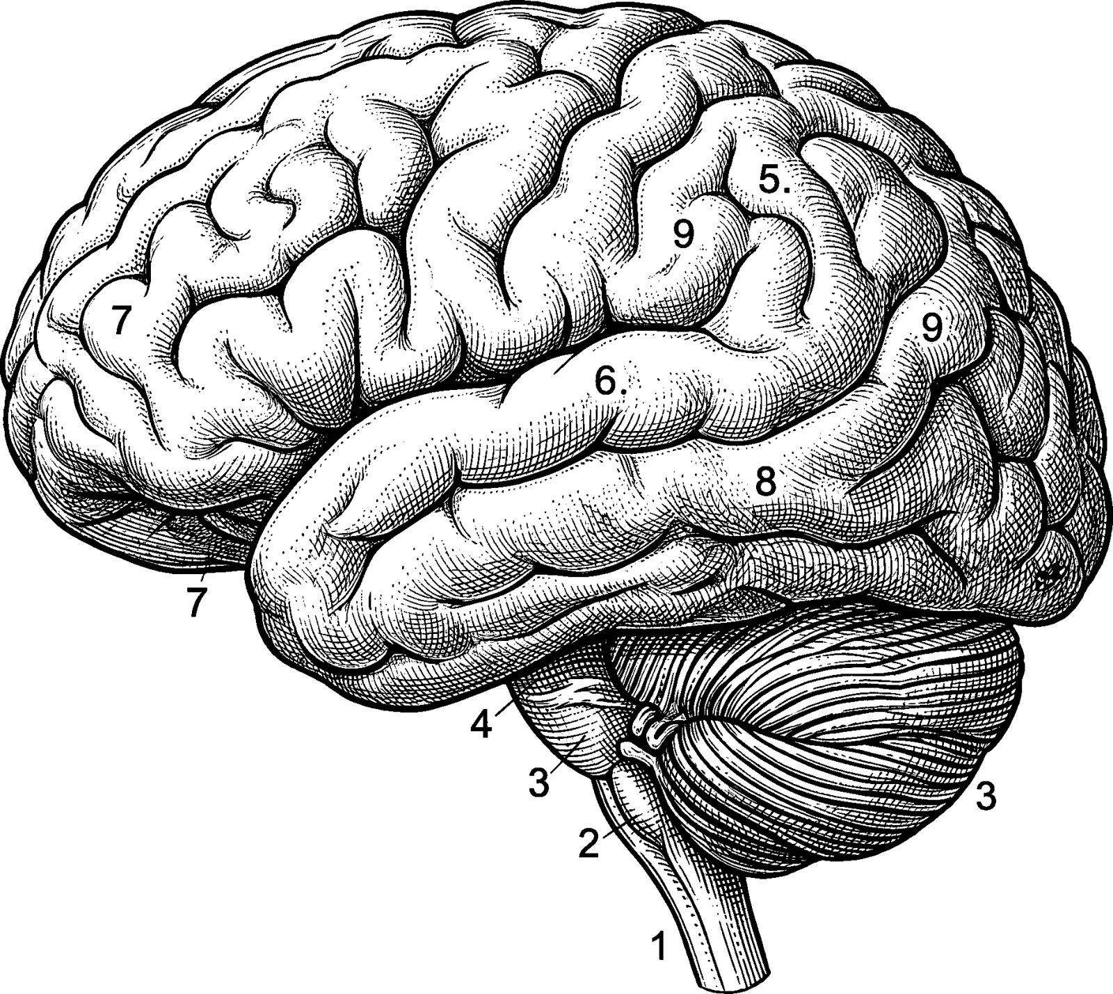 Emergent Mormon Perspectives on Kurzweilian Epochs of Evolution illustration