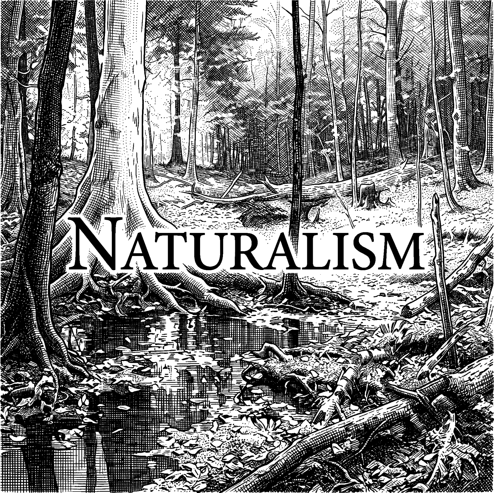 Mormon Naturalism illustration