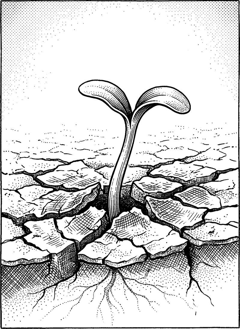 Hedcut illustration of A biography can be traced through decisions: proposal, refusal, and consequence. The shift from dissenting voice to active opponent shows how moral error, once embraced, reshapes the world it touches.